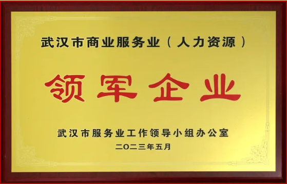 喜報(bào)丨熱烈祝賀騰飛人才榮獲武漢市服務(wù)業(yè)領(lǐng)軍企業(yè)稱號